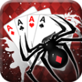 Spider Solitaire thumbnail