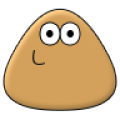 Pou